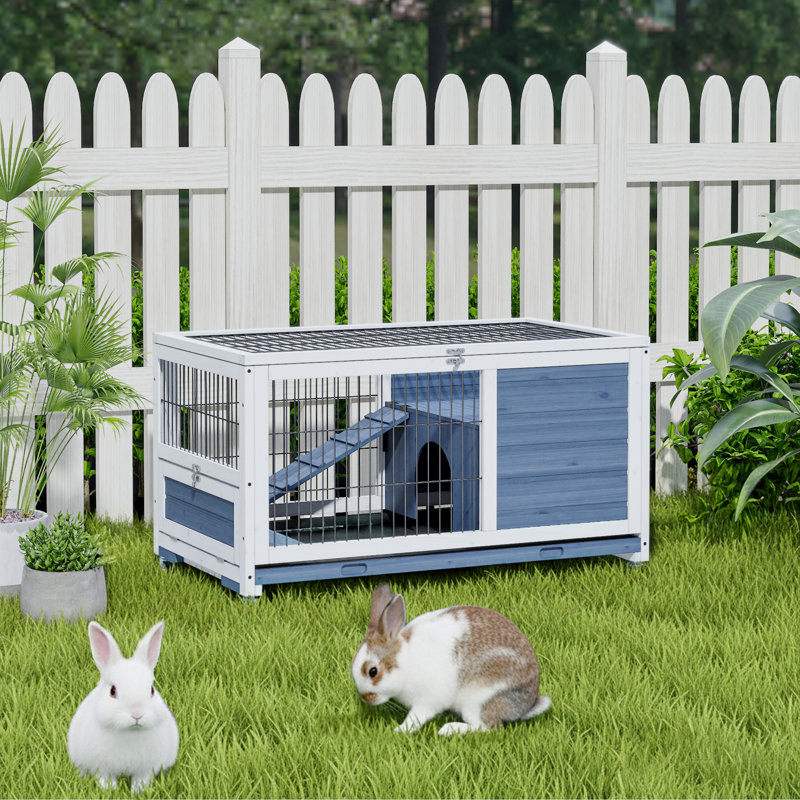 Solid Wood Mobile Rabbit Hutch with Ramp and Pull-Out Tray Blue, White/Blue