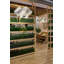 Swirl 1 - Light Pendant-828732655-845677200-858850216