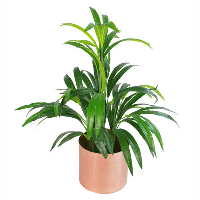 65cm Faux Plant in Pot Liner