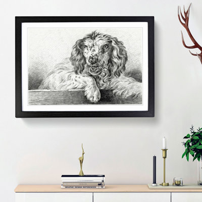Springer Spaniel Dog by Jean Bernard - Picture Frame Drawing Print