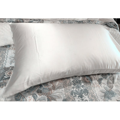 Silk Solid Colour
