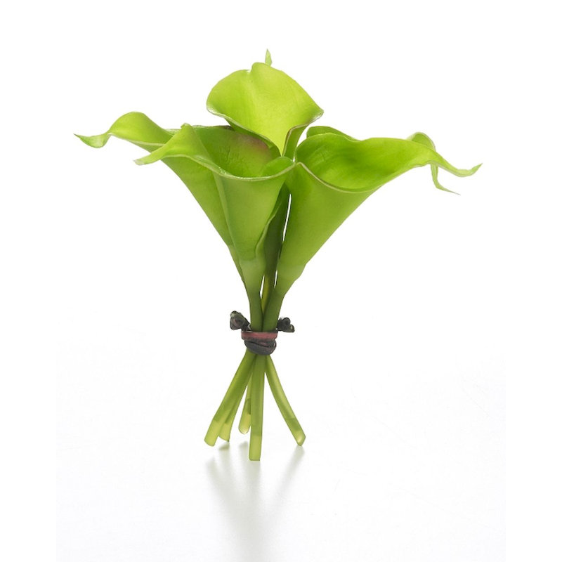 Jet de lilies calla