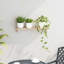 Solid Wood Bracket Shelf