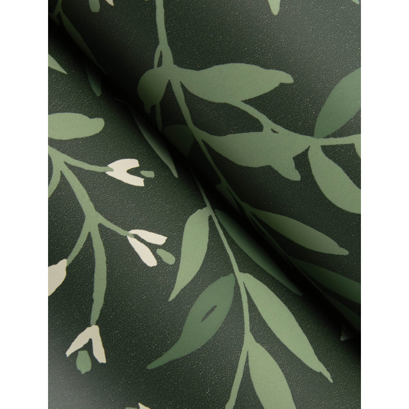 Papier peint Senna Budding Vines, Evergreen