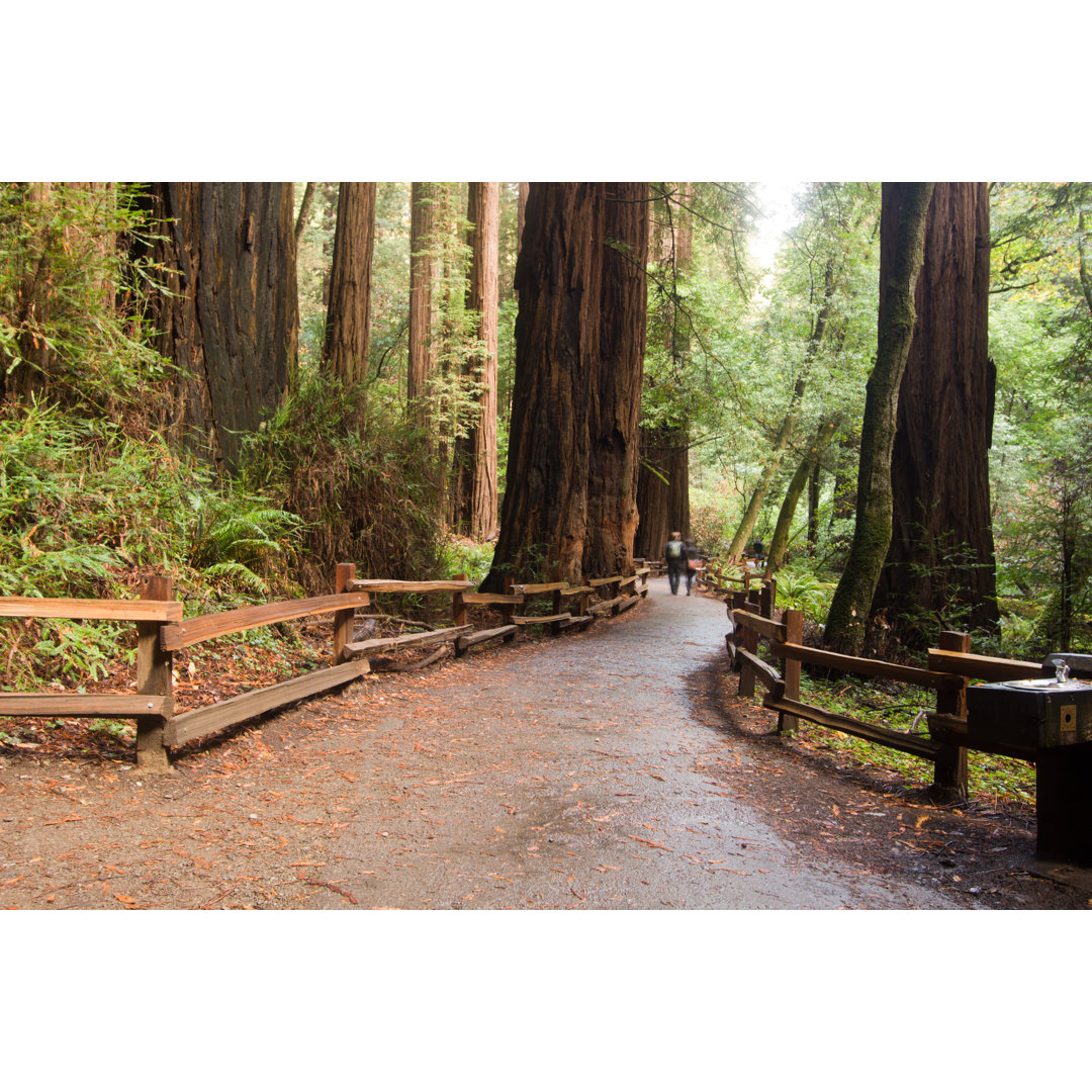 Marin County von Moonstone Images - Druck auf Leinwand ohne Rahmen