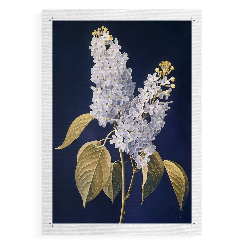 Série FLORAL CLxxxvii - Impression sur toile seulement - non encadrée, H 27 po x l 18 po