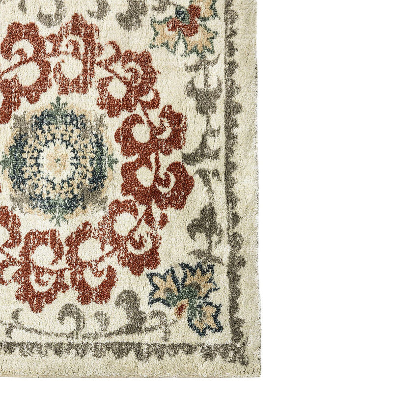 Mejia Oriental Indoor Rug