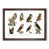 Walnut Framed selected