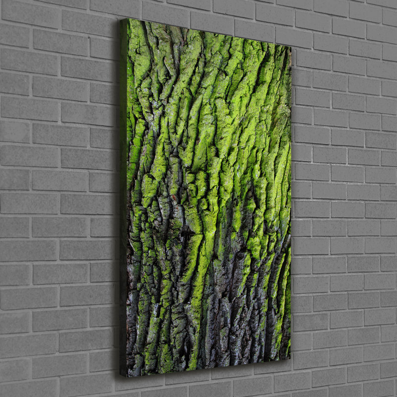 Tree Bark - Wrapped Canvas Print