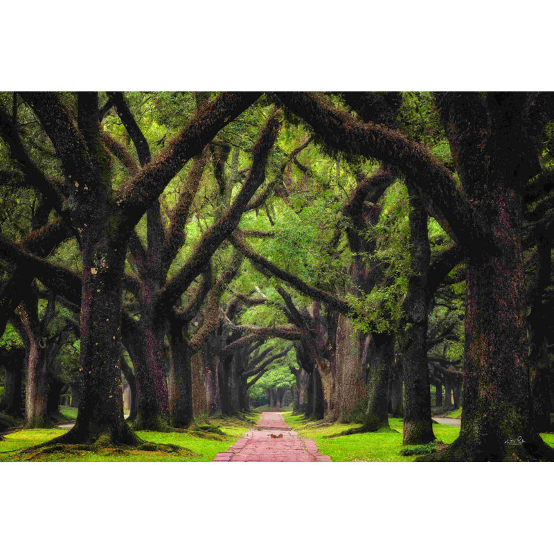 Lane of Oaks, H 24 po x l 36 po, Non, Cadre flottant doré