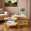 Table basse gigogne 2 pièces Modern