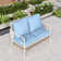 Arcus 51'' Outdoor Loveseat with Cushions