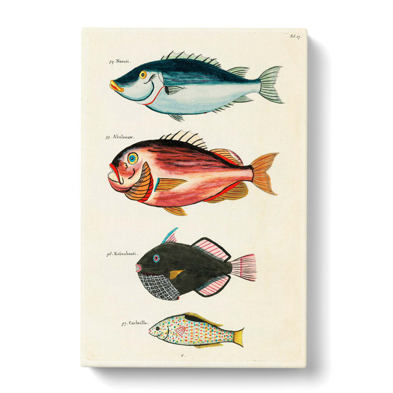 East Indies Fish Illustrations Fol. 17 by Oliver Goldsmith - Wrapped Canvas Painting, 60cm H x 40cm W x 3cm D