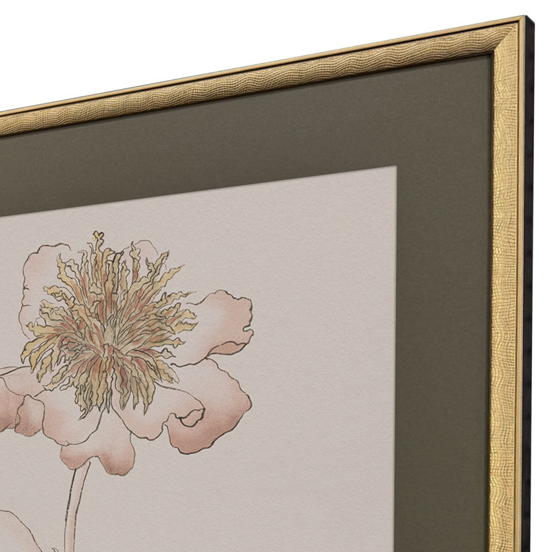 Delicate Sketch I Framed Art