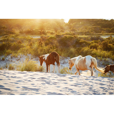 Wild Horses by Sdominick - Print