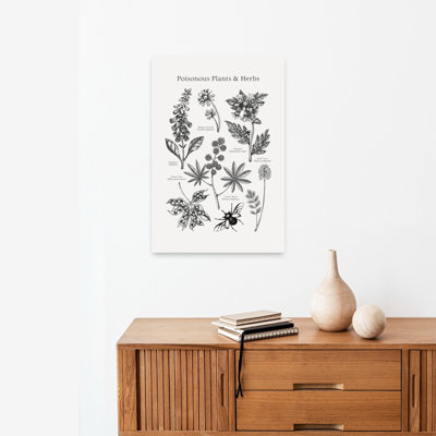 Poisonous Botanical Study Vintage Flower Wall Art Print