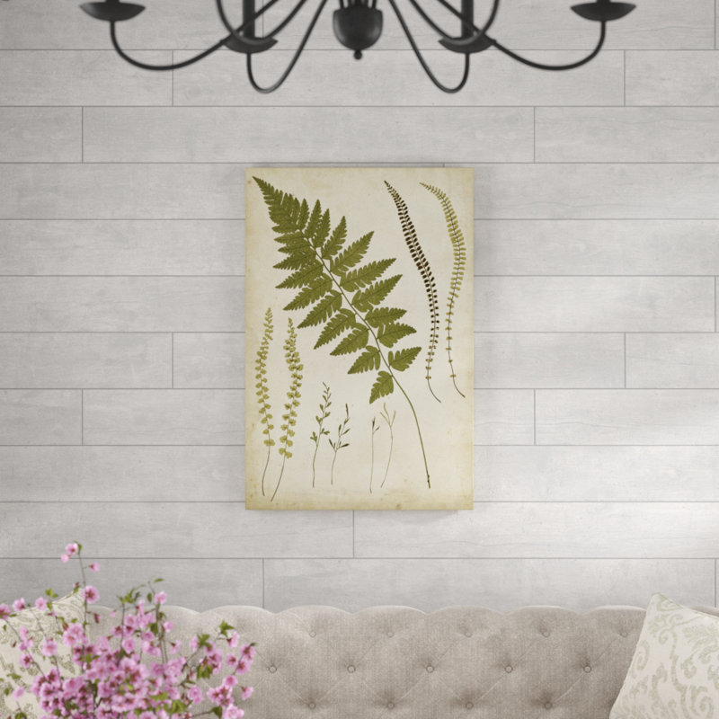 «Fern Portfolio II», peinture sur toile, H 36 po x l 24 po