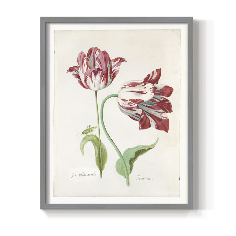 Deux tulipes II, reproduction encadrée - bois massif, Gris, H 11 po x l 9 po