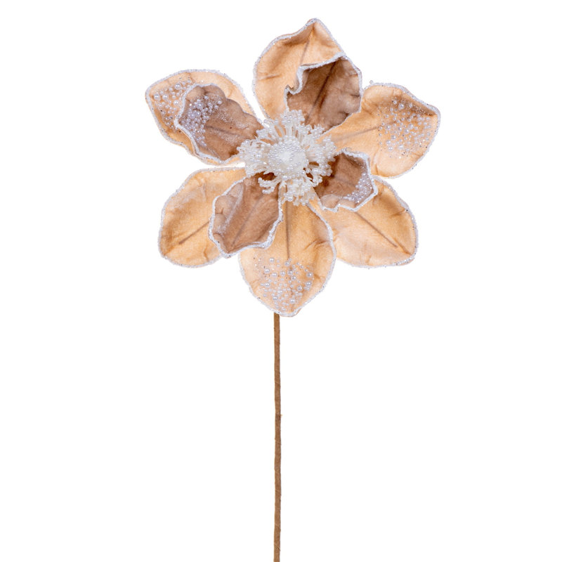 17" Champagne Perle Magnolia 8" Flwr 2Bg, Champagne