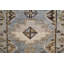 Oriental Area Rug in Gray