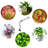 LINKPAL Grow Light