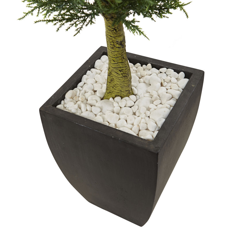 4.5ft. Cypress Topiary with Black Planter, UV Resistant (Indoor/Outdoor), 54"