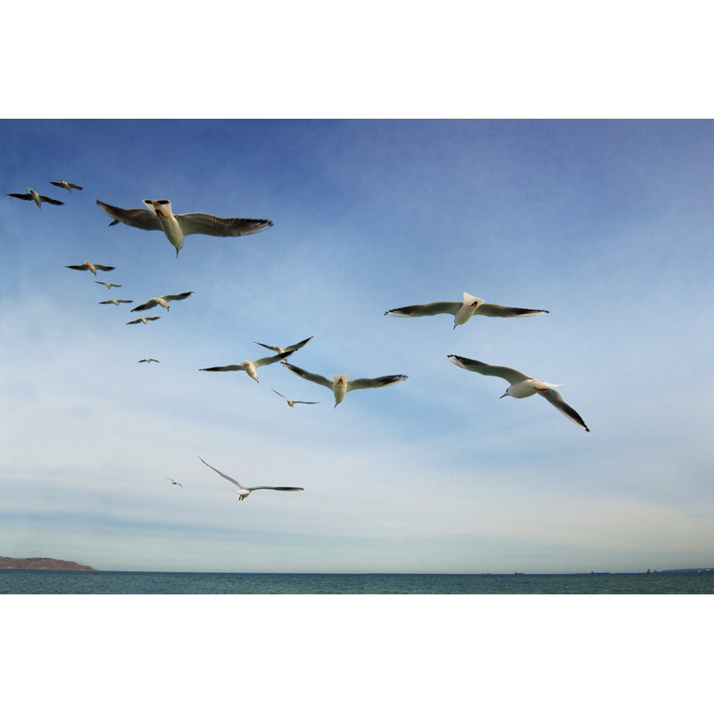 Group Of Seagulls - Wrapped Canvas Print, 20cm H x 30cm W x 3.8cm D