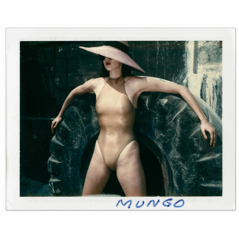 Newton, Polaroids