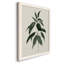 «Soft Greenery II», peinture sur toile encadrée-969736345-969736344