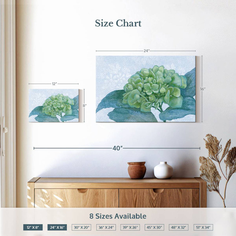 Hortensia bleu Harnek I