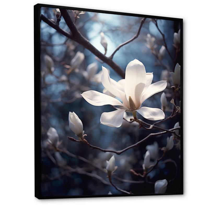 Blanc, bleu, magnolia, paysage, élégance, Cadre flottant noir, H 32 po x l 16 po x P 1 po