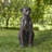 23.25''H MGO Bronze Leopard Statue