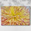 Toile tendue Blooms III-Gallery-933196699