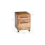 Colvin 2-Drawers Mobile Vertical File