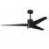 Ceiling Fan with LED Lights