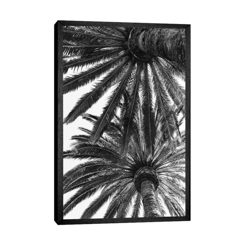 Venice Palms by Bethany Young - Print on Canvas, Black Framed, 66.04cm H x 45.72cm W x 3.81cm D