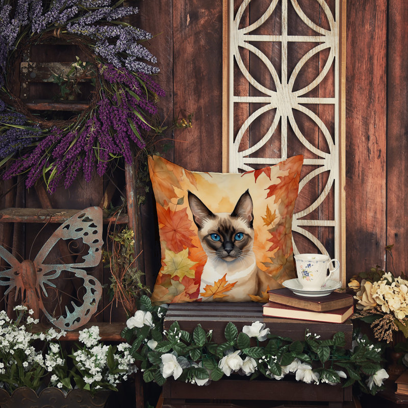 Coussin Siamese, Carré 14 po