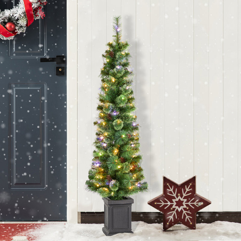 Arbre de Noël pré-éclairé pin vert avec lumières cachemire, 5'