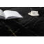 Tapis noir Catignani-574449777