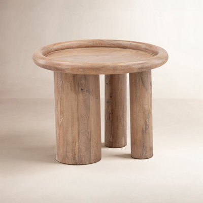 Aalin 24" Mango End Table