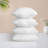 Pillow Insert-49165655