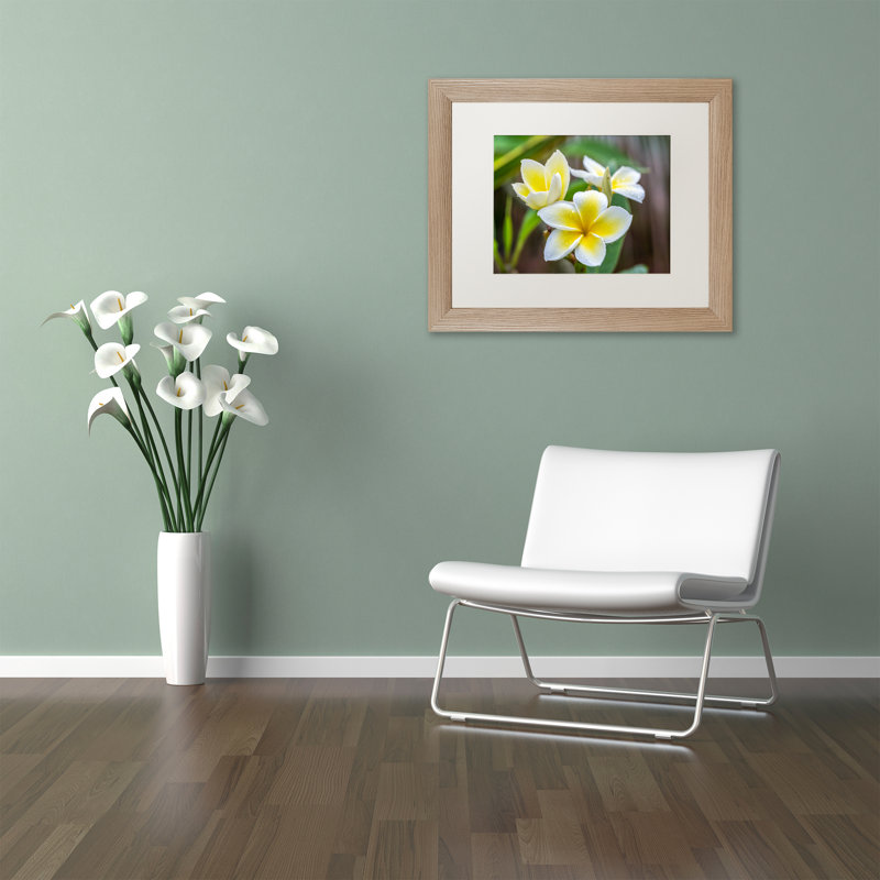 Plumeria in the Rain Acrylic Painting with Brown Frame
