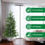Plant-798864595