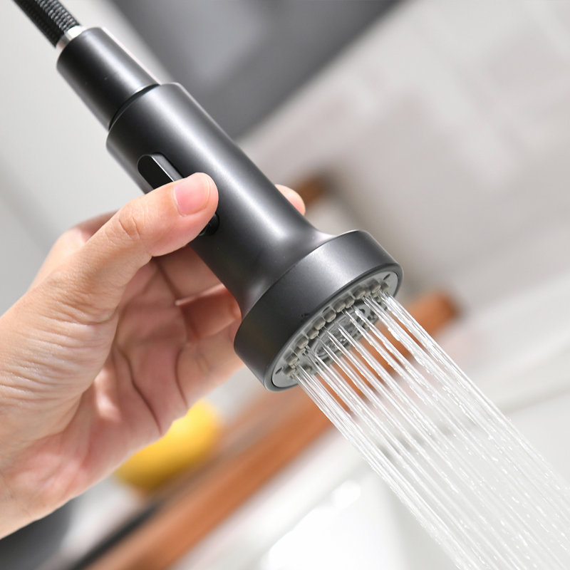 Fapully Pull Down Kitchen Faucet