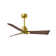 Alessandra - Three Blade Transitional Ceiling Fan -LED