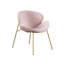 Chaises de salle à manger, chaises d'appoint, chaises de cuisine Kowsar Velvet Modern				-2102850332