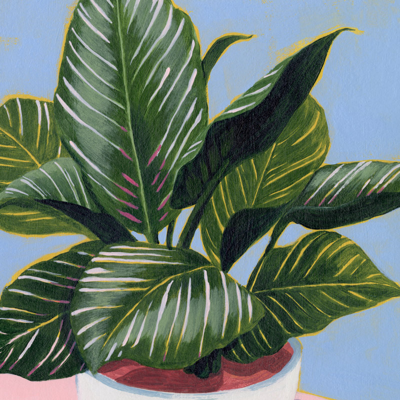 Calethea III by Grace Popp - Wrapped Canvas Painting, 122cm H x 122cm W