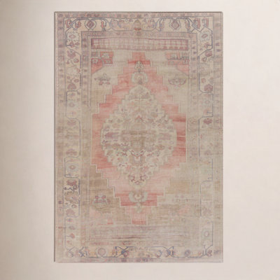 Houston Oriental Indoor Rug