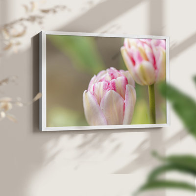 Blush -Framed Print - Restickable