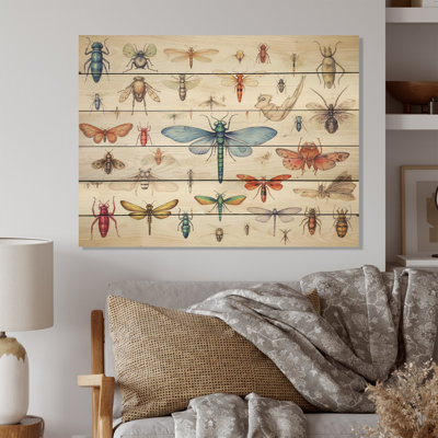 Birdella " Tiny Insect Wonders I "